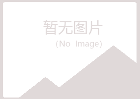 青岛黄岛笔调能源有限公司